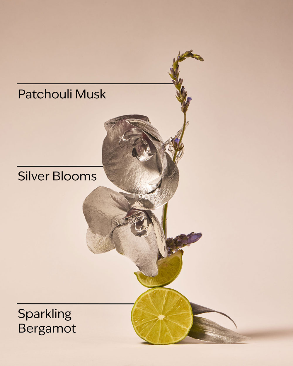 بادی اسپلش Platinum